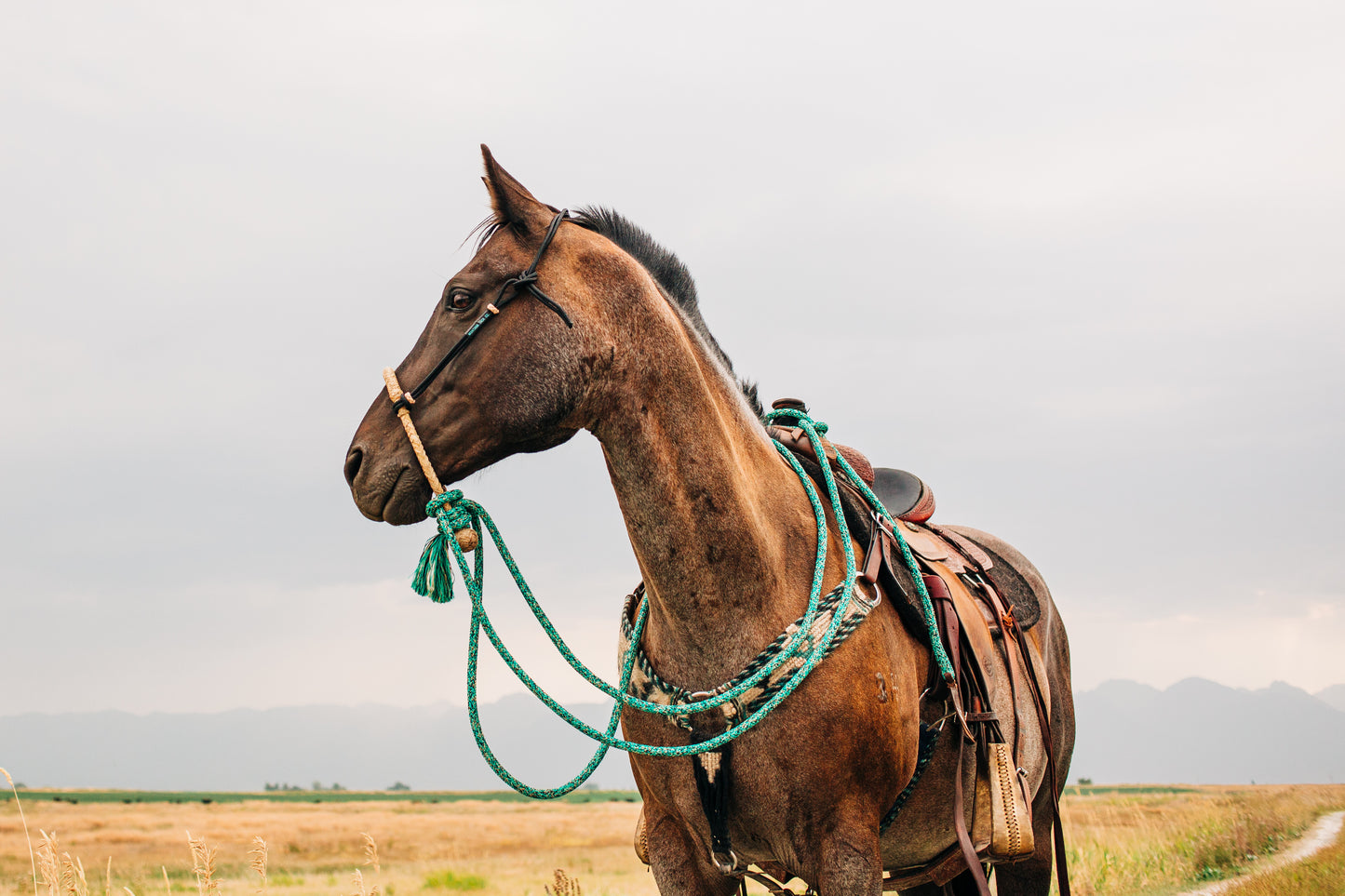 Rope Headstall