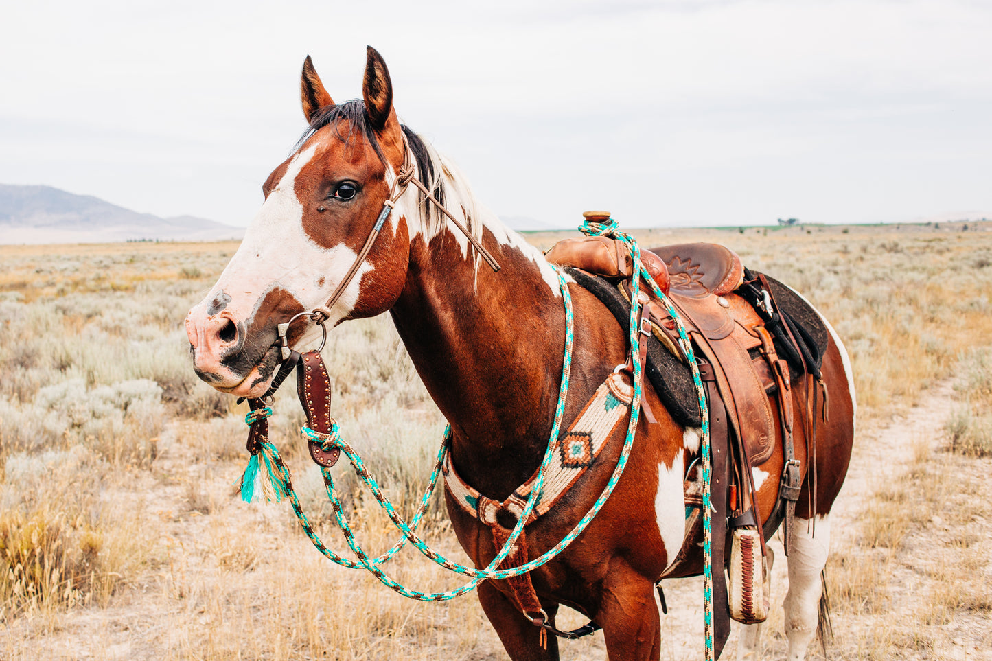 Rope Headstall