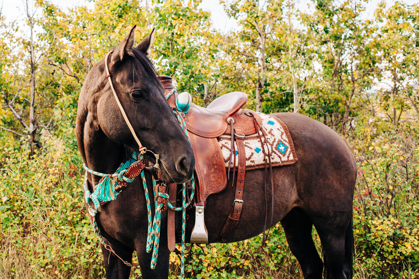 Rope Headstall