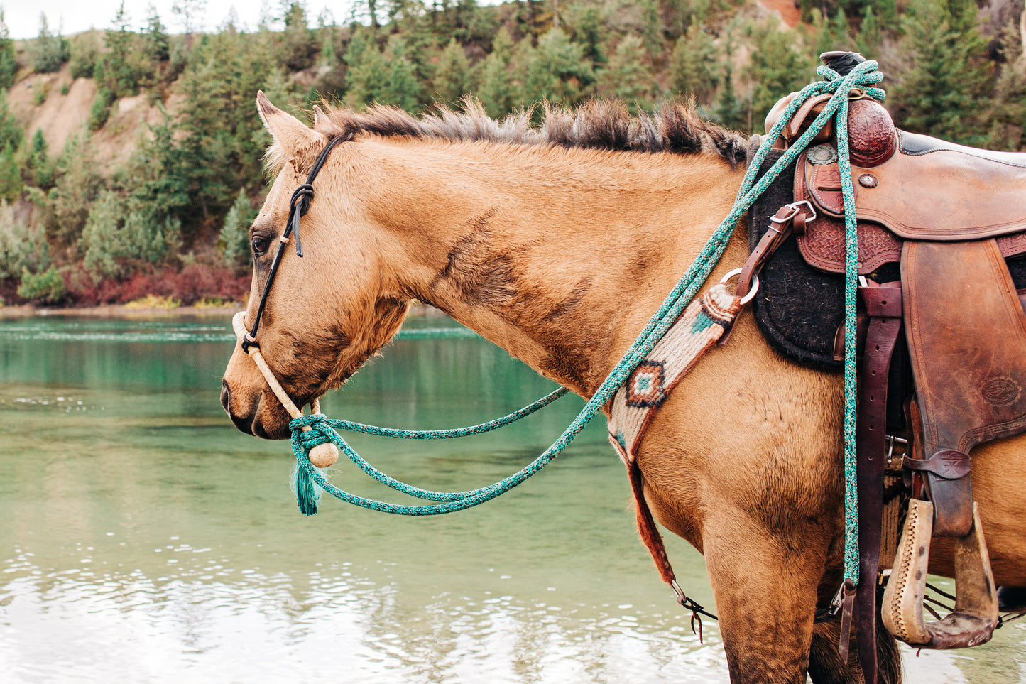 Rope Headstall