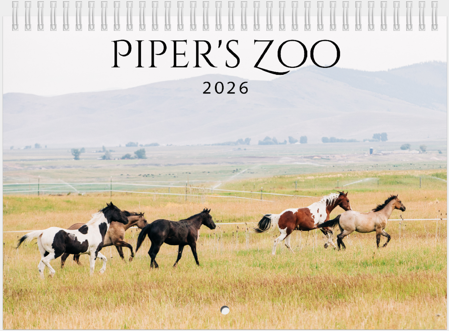 2026 Bible Verse Wall Calendar