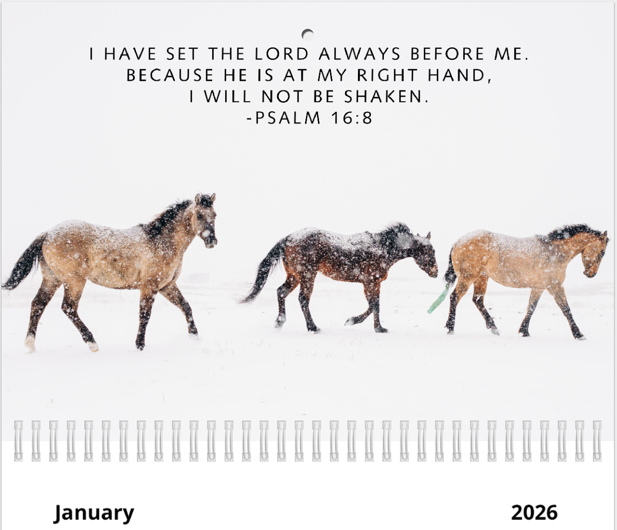 2026 Bible Verse Wall Calendar