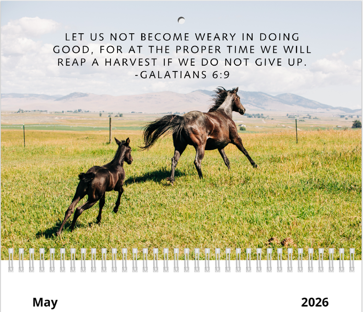 2026 Bible Verse Wall Calendar