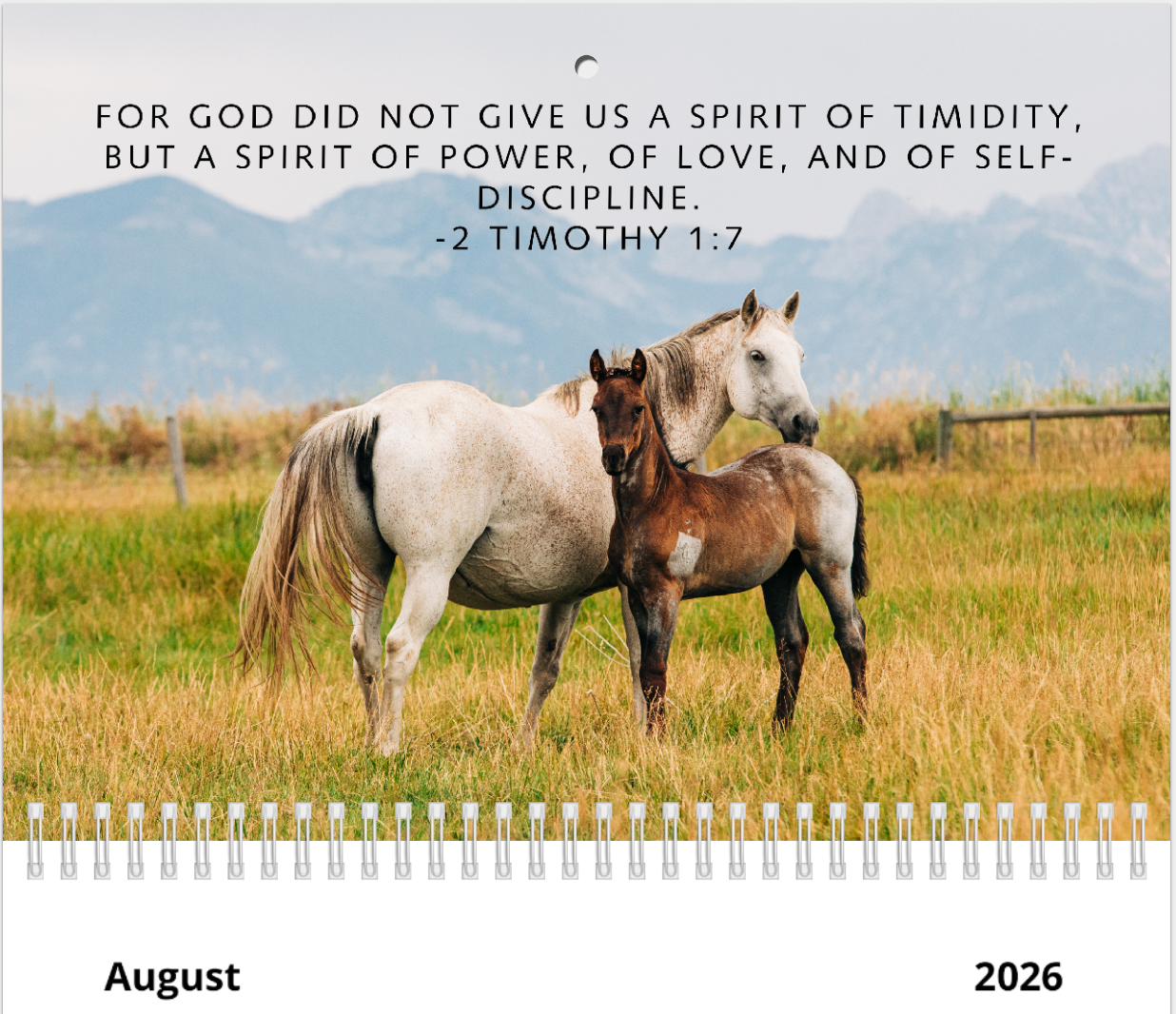 2026 Bible Verse Wall Calendar
